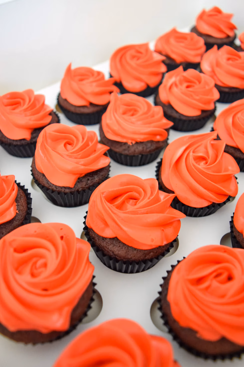 Chocoladecupcakes met felrode rozet‑topping netjes gerangschikt in een witte doos.